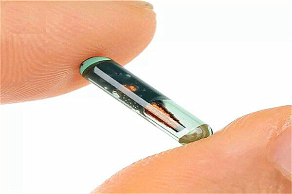 125KHz 134.2KHz 1.4*8mm Microchips Animal RFID Glass Tag