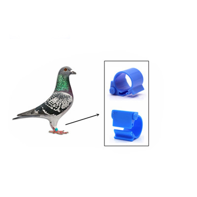 Rfid Pigeon Ring Tag 